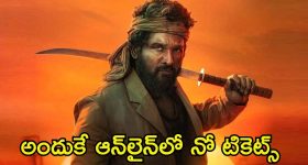 Sobitha Dhulipalla: అక్కినేని కోడలి తెలుగుదనం పెళ్లి వరకేనా.. ?