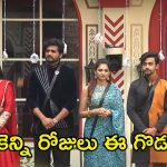 Bigg Boss 8 Telugu Promo: గౌతమ్, నిఖిల్ మధ్య గొడవలు.. సీరియస్‌గా రియాక్ట్ అయిన నాగార్జున