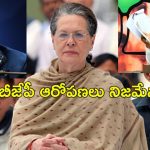 Sonia Gandhi George Soros: సోనియా గాంధీకి జార్జి సోరోస్ నుంచి నిధులు అందుతున్నాయి.. బిజేపీ ఆరోపణలు