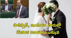 Pushpa 2 Canteen Bill Fight: పుష్ప 2 సినిమా.. ప్రేక్షకుడి చెవి కొరికేసిన క్యాంటీన్ ఓనర్