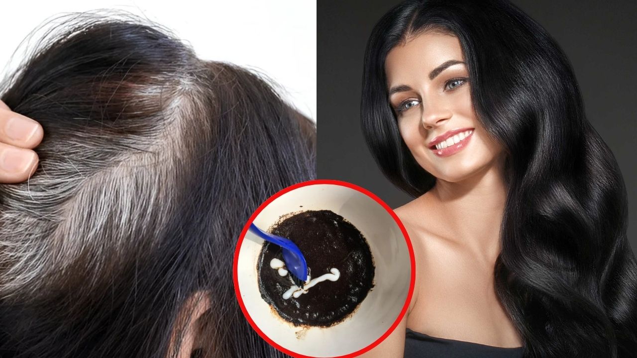 Homemade Hair Colour: ఇంట్లోనే ఇలా హెయిర్ కలర్ తయారు చేసుకుని వాడితే.. తెల్ల జుట్టు క్షణాల్లోనే మాయం