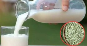 Fennel Milk: పాలల్లో సోపు కలిపి తాగితే.. మతిపోయే లాభాలు !