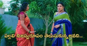 Wife Chops Husband body: భర్తను హత్య చేసి 30 ముక్కలుగా నరికిన భార్య.. దృశ్యం సినిమా తరహా కవరింగ్