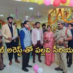 Intinti Ramayanam Today Episode : పల్లవి ప్లాన్ రివర్స్.. ఆఫీసులో డ్రగ్స్ ఉన్నట్లు పోలీసులకు ఇన్ఫర్మేషన్..