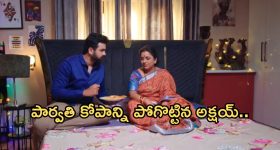 Intinti Ramayanam Today Episode : అవనిపై కోపాన్ని పెంచుకున్న పార్వతి.. తల్లి పై అక్షయ్ ప్రేమ..