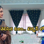 Intinti Ramayanam Today Episode : ప్లాన్ మార్చుకున్న పల్లవి.. అవనికి అసలు నిజం తెలిసిపోతుందా..?