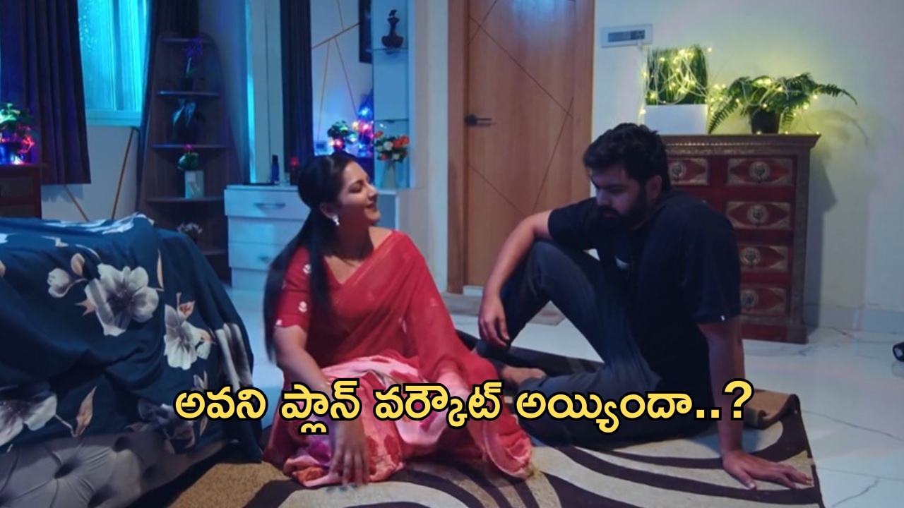 Intinti Ramayanam Today Episode : అవనిని క్షమించిన అక్షయ్.. పల్లవికి షాకిచ్చిన కమల్..