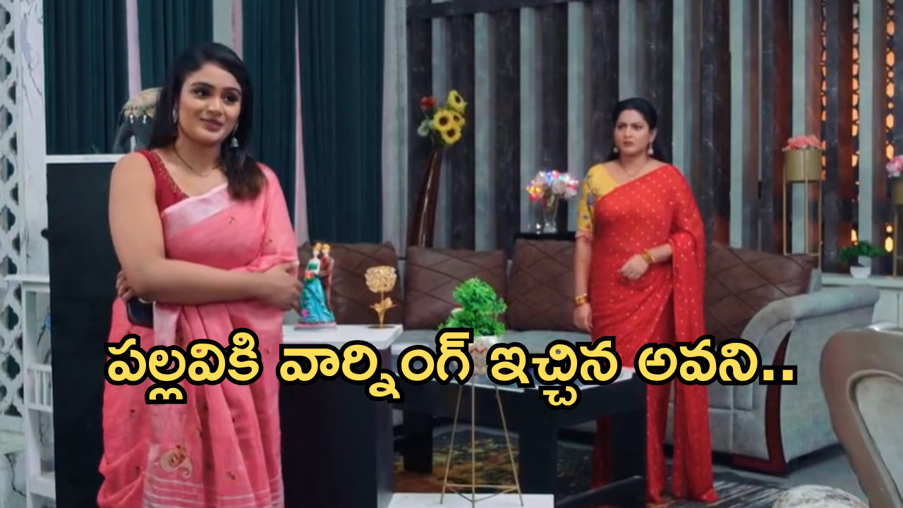 Intinti Ramayanam Today Episode : పల్లవికి అవని సీరియస్ వార్నింగ్.. అక్షయ్ బర్త్ డే సెలెబ్రేషన్స్..