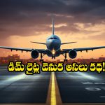 Plane Cabin Lights: ఫ్లైట్ టేకాఫ్, ల్యాండింగ్ టైంలో క్యాబిన్ లైట్లు డిమ్ అవుతాయి.. ఎందుకో తెలుసా?