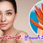 Red Aloe Vera: చందమామ లాంటి ముఖం కోసం.. దీన్ని ఒక్క సారి వాడండి