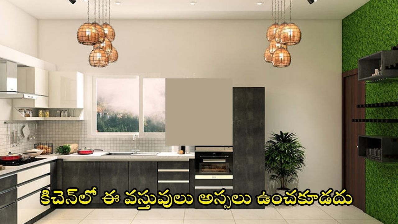 Vastu Tips: ఈ వస్తువులను మీ కిచెన్‌లో అస్సలు ఉంచకూడదు తెలుసా ?