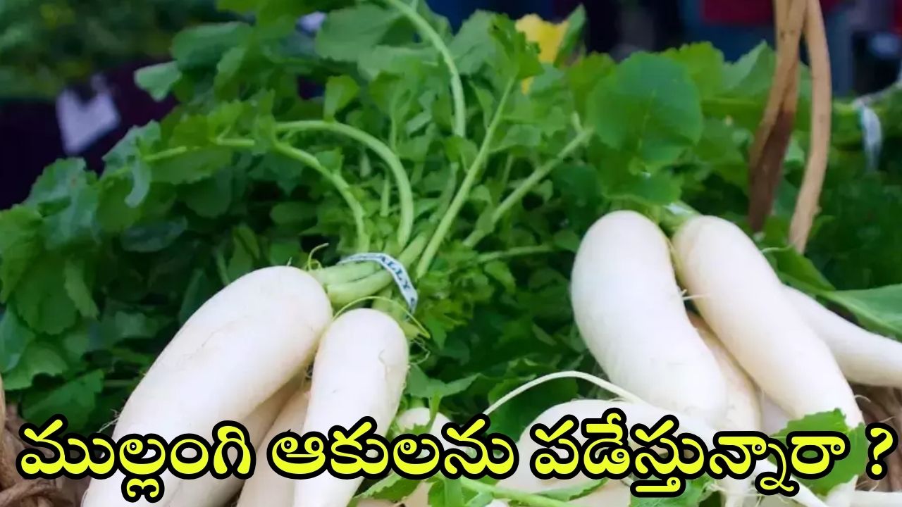 Radish Leaves: ముల్లంగి ఆకులతో ఇన్ని లాభాలా.. తెలిస్తే షాక్ అవడం పక్కా