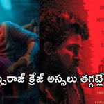Pushpa 2 Day 11 collection : పుష్ప రాజ్ దిగితే రికార్డులు బద్దలే.. 1500 కోట్లు క్రాస్..