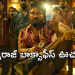 Pushpa2 Collections : బాక్సాఫీస్ ఊచకోత.. పుష్ప గాడి రికార్డుల మోత.. ఎన్ని కోట్లంటే..?
