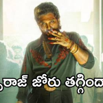 Pushpa2 Collections : పుష్ప 2 జోరు తగ్గిందా… కలెక్షన్స్ ఏంటి ఇలా పడిపోయాయి..