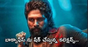 Pushpa2 Collections : మూడు వారాలు అవుతున్న తగ్గని పుష్ప గాడి జోరు.. ఎన్ని కోట్లంటే ?