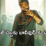 Pushpa 2 collections : పుష్పగాడి రికార్డులతో బాలీవుడ్ కు చెమటలు.. బాద్షా రికార్డు బ్రేక్..
