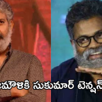 Sukumar : రాజమౌళికి దెబ్బ మీద దెబ్బ కొట్టిన సుక్కు.. మహేష్ మూవీ డౌటే..