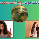Hair Growth Tips: జుట్టు పెరగట్లేదని ఫీలవుతున్నారా.. ఈ హెయిర్ ఆయిల్ రాస్తే జుట్టు పెరగటాన్ని ఎవరూ ఆపలేరు