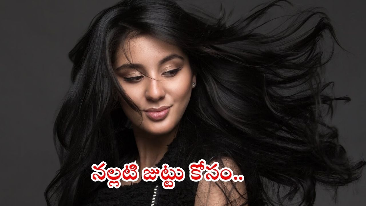 Tips For Black Hair: తెల్లజుట్టు నల్లగా మార్చడానికి.. వీటికంటే మించినవి లేవు