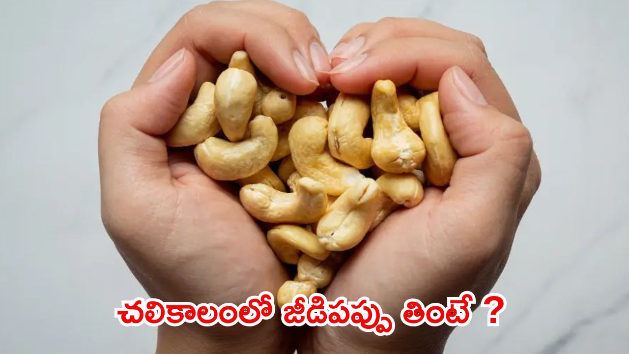 Cashew Benefits: చలికాలంలో జీడిపప్పు తింటున్నారా ?