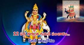 Rashi Singh: లుక్ మార్చిన రాశి సింగ్
