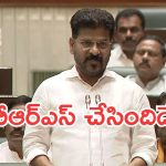 CM Revanth Reddy: దొంగ పాస్ పుస్తకాలు, రియల్ ఎస్టేట్ వ్యాపారులకు రూ.22 వేల కోట్లు చెల్లించారు: సీఎం రేవంత్