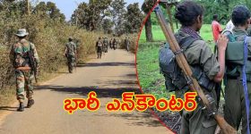 Ambati On CM Chandrababu: దావోస్ వెళ్లి చేసిందా ఇదా? చంద్రబాబు టీమ్‌పై అంబటి సెటైర్లు