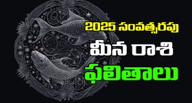 Horoscope Pisces  2025 :  మీన రాశి జాతకులకు 2025లో ఎలాంటి ఫలితాలు ఉన్నాయో తెలుసుకుందాం