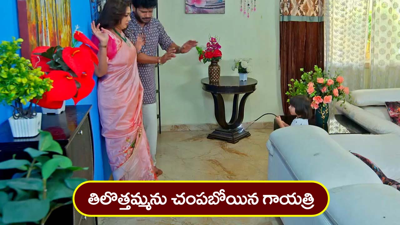 Trinayani Serial Today January 20th: ‘త్రినయని’ సీరియల్‌:  తిలొత్తమ్మను చంపబోయిన గాయత్రి – ఆస్థి మొత్తం రాసివ్వమన్న సుమన