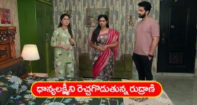 YV Subbareddy: వైసీపీ ఎంపీ వైవీ సుబ్బారెడ్డి‌పై భూకబ్జా కేసు, ఎక్కడ? ఏం జరిగింది?