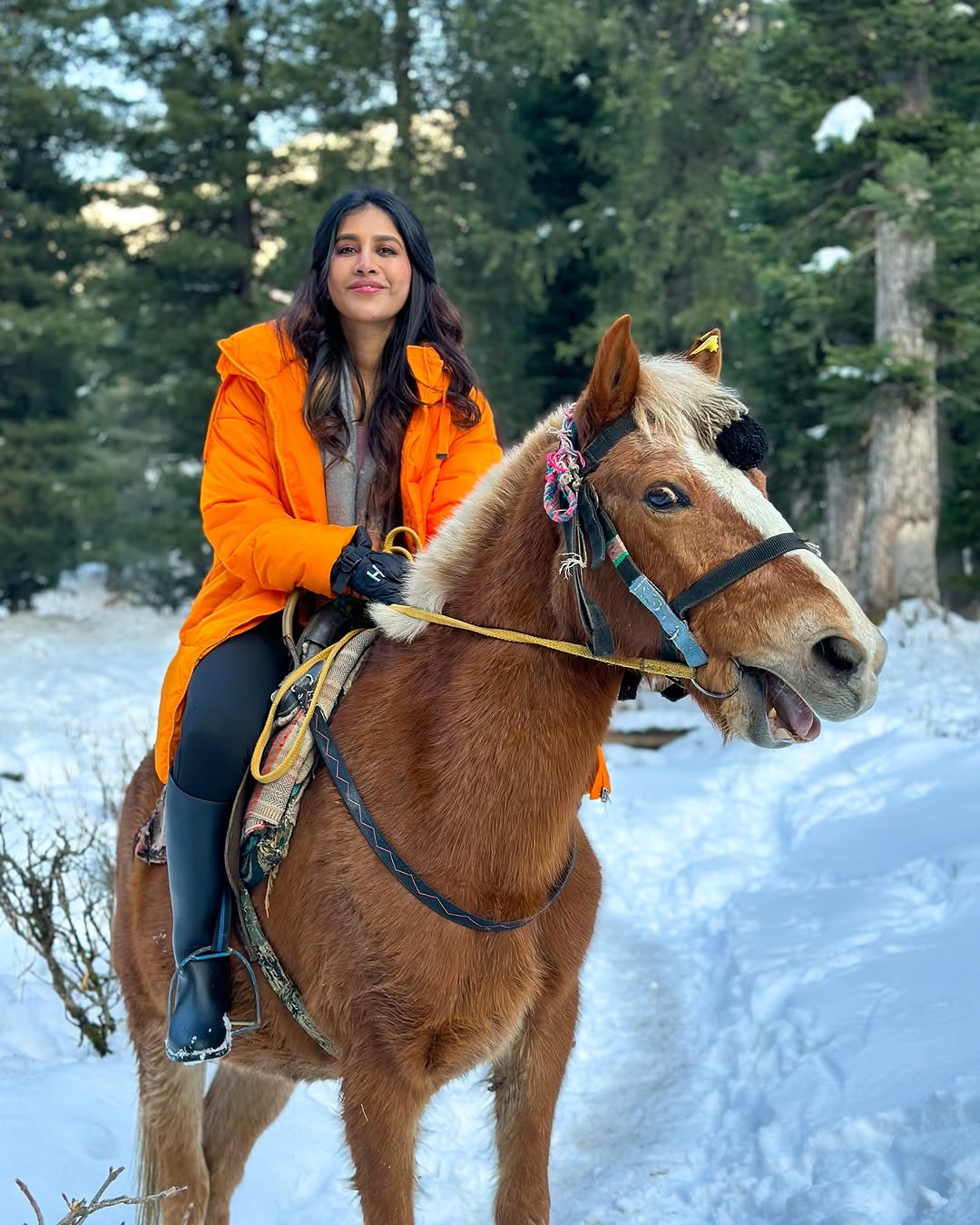 Nabha Natesh Photo Gallery