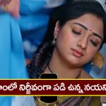 Trinayani Serial Today January 13th: ‘త్రినయని’ సీరియల్‌:  నయని బాడీని చూపించిన గాయత్రి – గురువు గారు సాయం చేస్తారన్న నయని