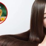 Safflower Oil: ఈ ఆయిల్  వాడితే.. జుట్టు జన్మలో రాలదు