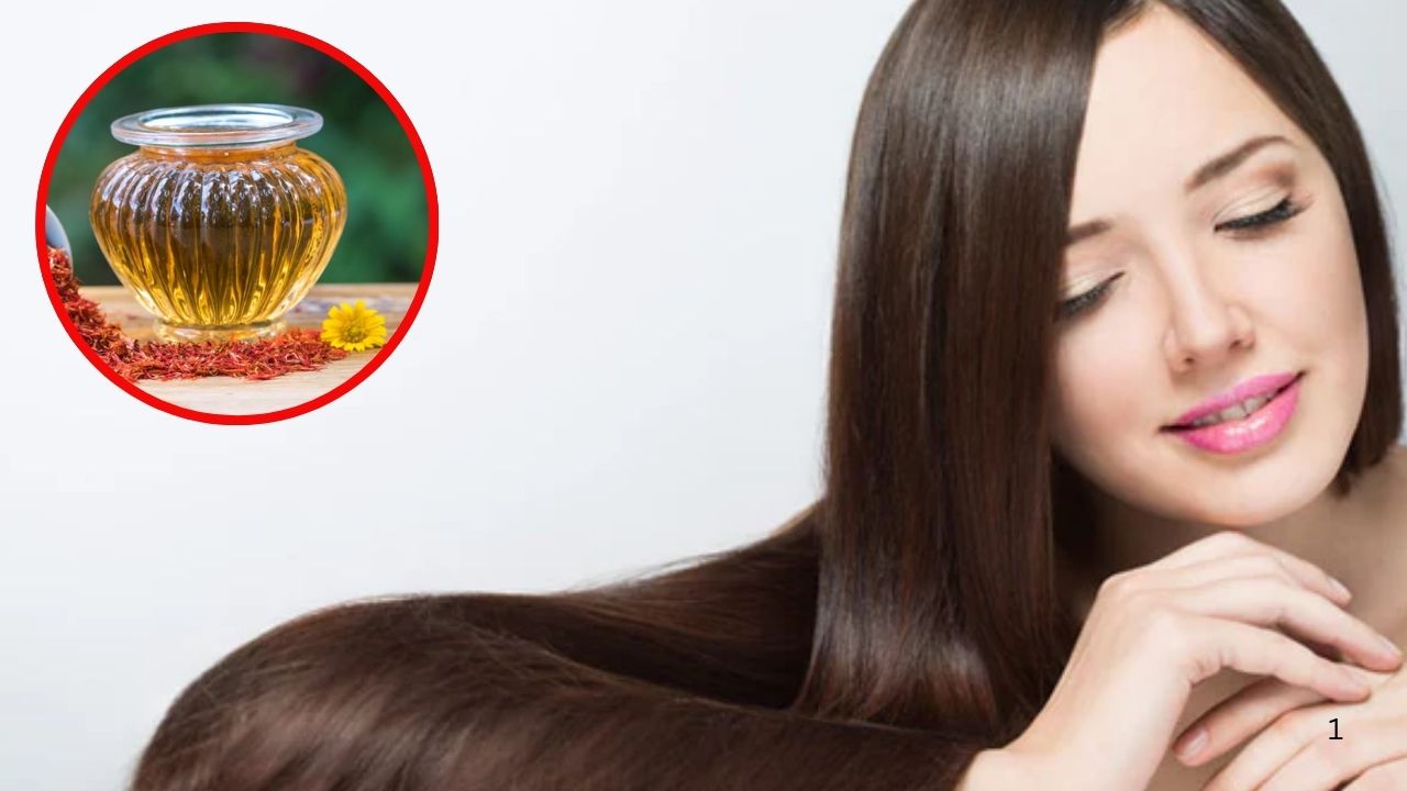 Safflower Oil: ఈ ఆయిల్  వాడితే.. జుట్టు జన్మలో రాలదు