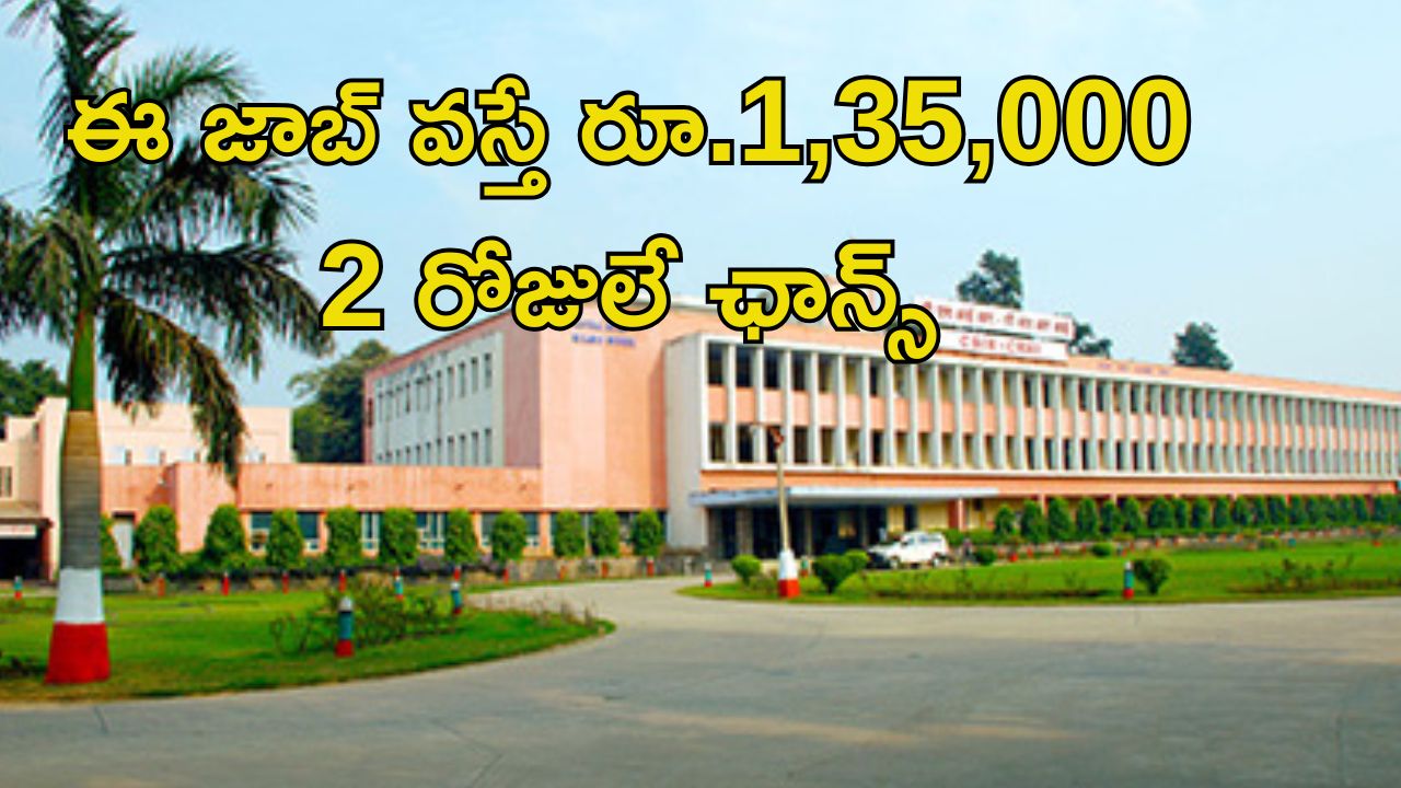 Jobs in CSIR: CSIR-CRRIలో ఉద్యోగాలు.. ఈ జాబ్ గిట్ల వస్తే నెలకు రూ.1,35,000.. రెండు రోజులే ఛాన్స్..