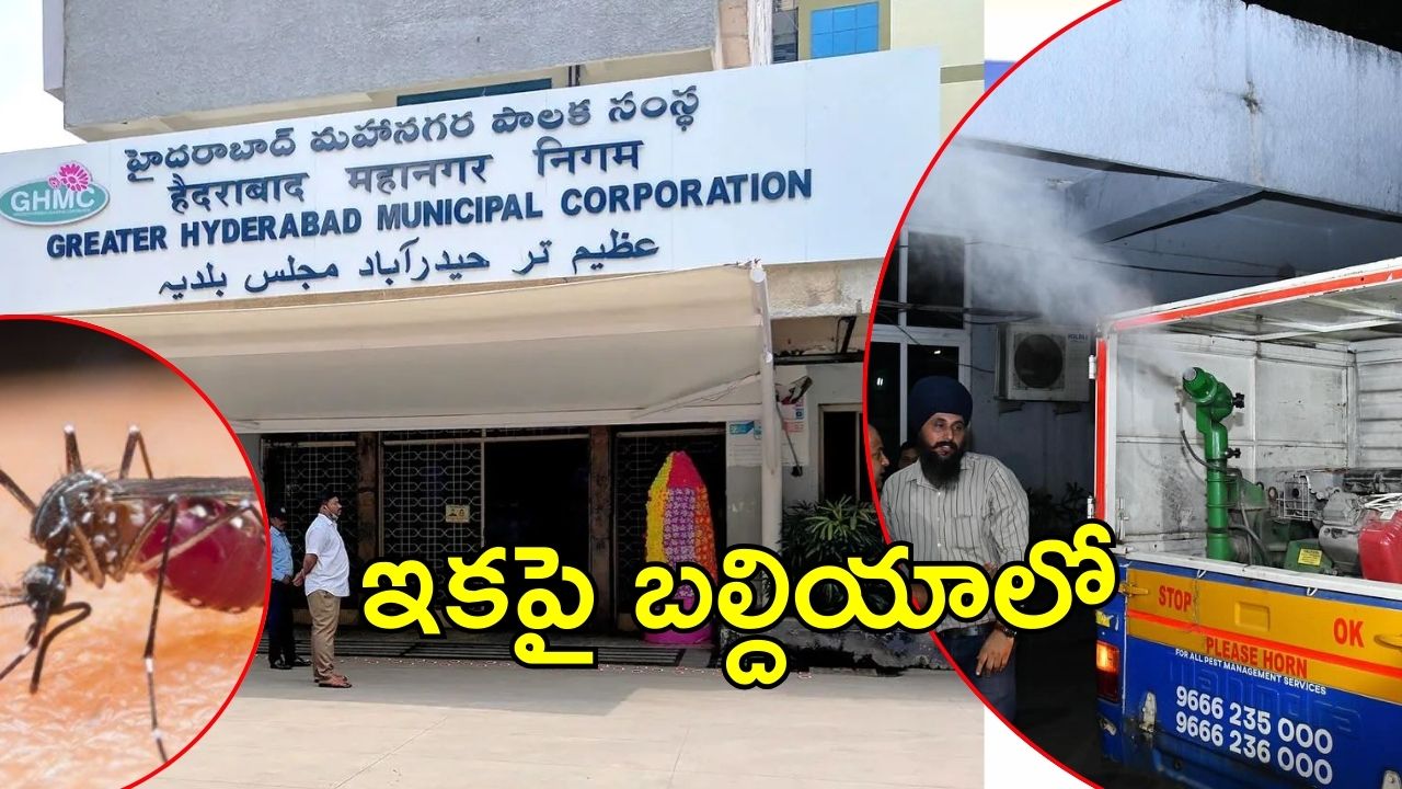 GHMC On Mosquitoes: దోమల నివారణ.. జీహెచ్ఎంసీ కొత్త ప్లాన్, ఏంటది