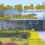 Jobs In INCOIS: రీసెర్చ్ అసోసియేట్ ఉద్యోగాలు.. ఈ అర్హతే అప్లై చేయండి.. నెలకు రూ.67,000 జీతం