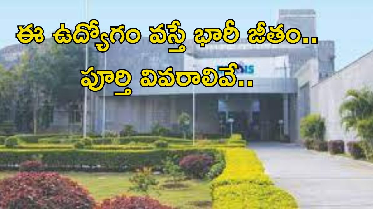 Jobs In INCOIS: రీసెర్చ్ అసోసియేట్ ఉద్యోగాలు.. ఈ అర్హతే అప్లై చేయండి.. నెలకు రూ.67,000 జీతం