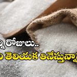 Sugar: పంచదార శాకాహారమా? మాంసాహారమా? అసలు విషయం తెలిస్తే షాక్ అవ్వాల్సిందే!