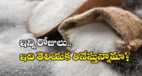 Velimala Land Scam: కేంద్ర ఎస్టీ కమిషన్ ఎదుట.. వెలిమల భూముల వివాదం