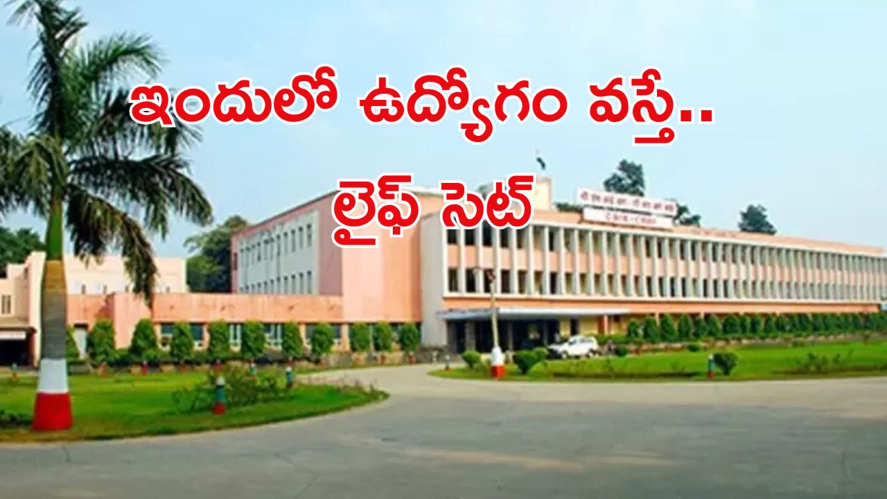Scientist Jobs in CRRI: ఈ అర్హత ఉన్న వాళ్లకు గోల్డెన్ ఛాన్స్.. నెలకు రూ.1,35,000.. DON‘T MISS..