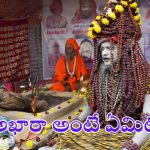Maha Kumbh 2025: అఖారా అంటే ఏమిటి ? కుంభమేళాలో అఖారాల ప్రాముఖ్యత !