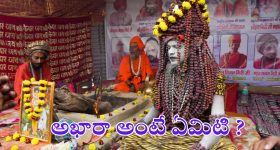 Maha Kumbh 2025: అఖారా అంటే ఏమిటి ? కుంభమేళాలో అఖారాల ప్రాముఖ్యత !