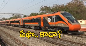 Lion Attack : సింహంతో టిక్‌టాక్ పరాచికాలు.. చాచి పంజాతో కొడితే కానీ తెలియలేదు వాస్తవాలు..