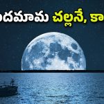 Moon Temperature: చందమామపై ఉష్ణోగ్రతలు ఎలా ఉంటాయో తెలుసా? మనిషి తట్టుకోగలడా?