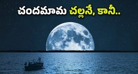 Job Vacancies in AP: ఏపీలో భారీగా ఖాళీలు.. ఈ ఉద్యోగం వస్తే రూ.97,000 జీతం.. ఇదిగో లాస్ట్ డేట్..!!