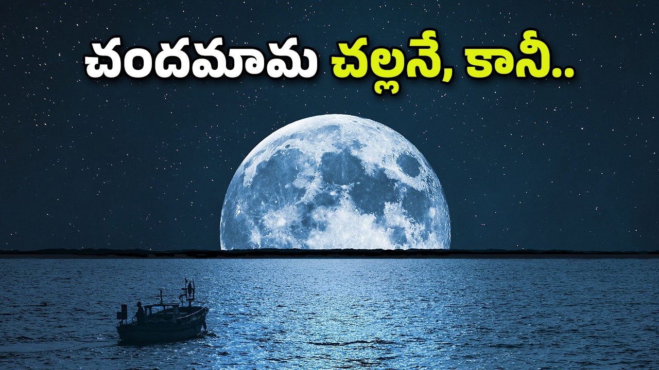 Moon Temperature: చందమామపై ఉష్ణోగ్రతలు ఎలా ఉంటాయో తెలుసా? మనిషి తట్టుకోగలడా?