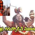 Mahila Naga Sadhu: మహిళా నాగసాధువులు ఎక్కడ ఉంటారు ? వీరి గురించి ఒళ్లు గగుర్పొడిచే నిజాలు !
