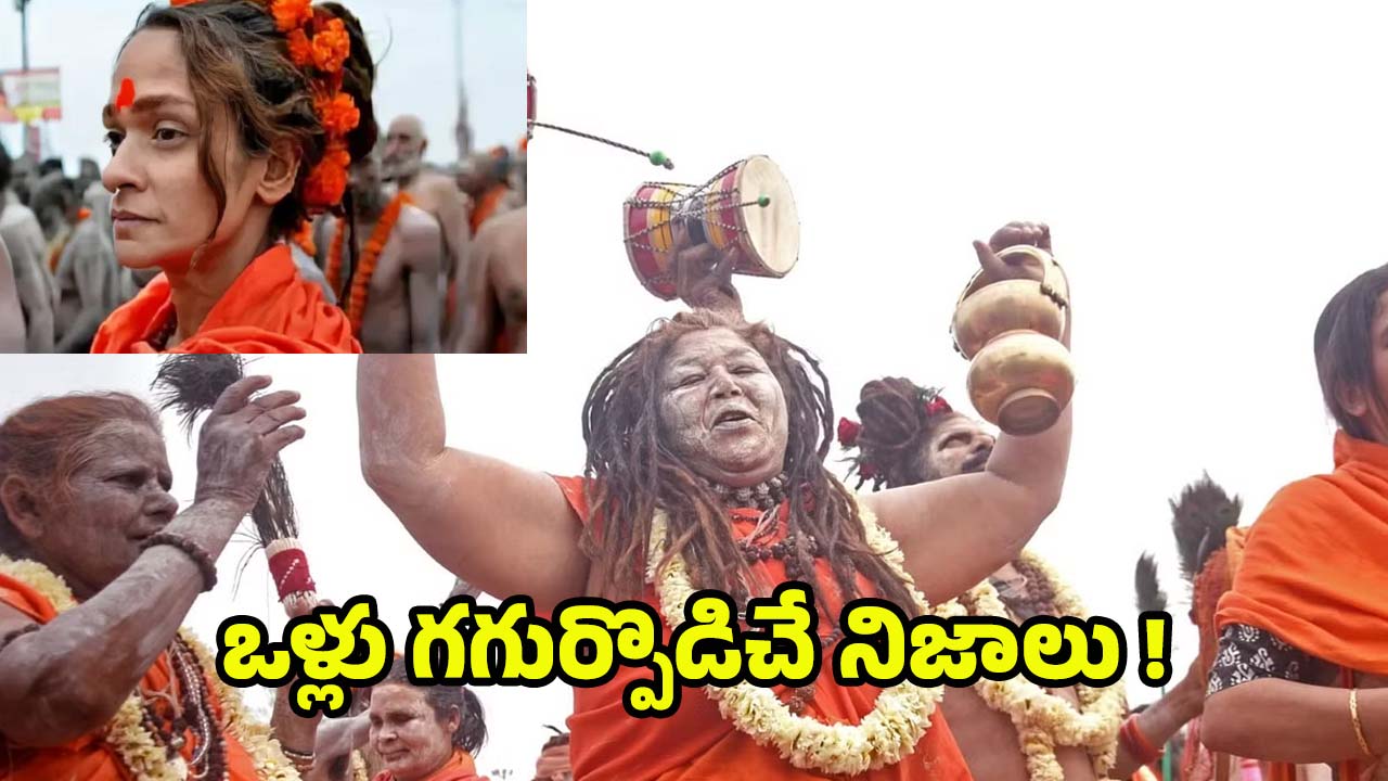 Mahila Naga Sadhu: మహిళా నాగసాధువులు ఎక్కడ ఉంటారు ? వీరి గురించి ఒళ్లు గగుర్పొడిచే నిజాలు !